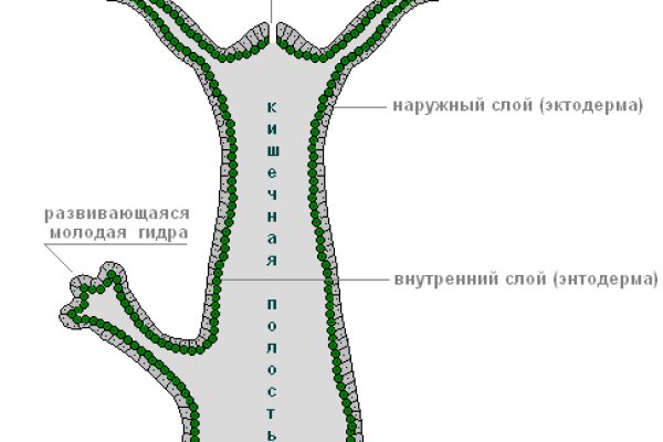 Кракен маркет свежие ссылки